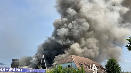 Bereits am Dienstag war das Feuer ausgebrochen. / Foto: Marie-Hélèn Frech/dpa