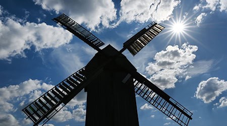 In Thüringen gibt es aktuell 140 Mühlen. Etwa ein Dutzend stellt noch traditionell Mehl, Öl oder Senf her. (Symbolbild) / Foto: Martin Schutt/dpa-Zentralbild/dpa