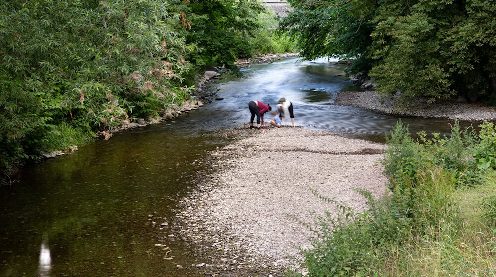 Zahlreiche Flüsse in Thüringen führen aktuell nur Niedrigwasser. (Archivbild) / Foto: Michael Reichel/dpa