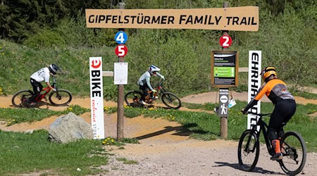 Der Thüringer Wald soll auch im Sommer ein attraktives Urlaubsziel sein, unter anderem für Mountainbiker und Wanderer. / Foto: Michael Reichel/dpa