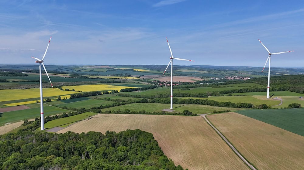 Weniger Windstrom in Thüringen erzeugt  / Foto: Martin Schutt/dpa