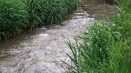 Eine naturbelassene Werra und renaturierte Flussauen: Das ist das Ziel eine Projekts, das nun im thüringischen Wartburgkreis gestartet ist. (Archivfoto) / Foto: Daniel Vogl/dpa