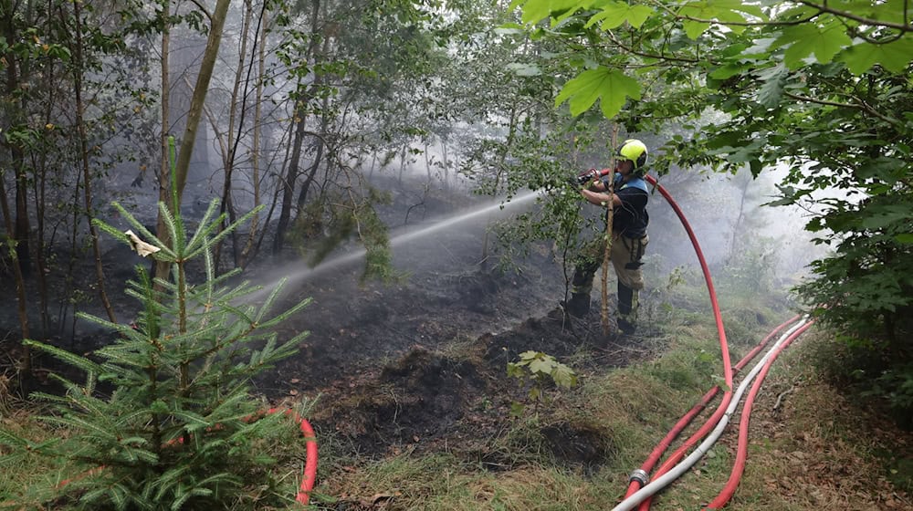 Die Feuerwehr musste im Stadtwald von Gera anrücken.  / Foto: Bodo Schackow/dpa