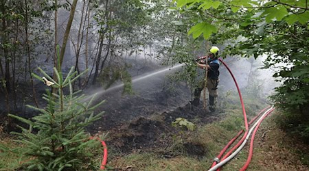 Die Feuerwehr musste im Stadtwald von Gera anrücken.  / Foto: Bodo Schackow/dpa
