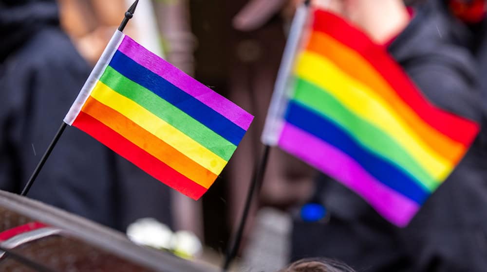 Vielfalt, Gleichberechtigung, Toleranz - das symbolisiert die Regenbogenfahne beim Christopher Street Day. (Archivbild) / Foto: Jens Büttner/dpa