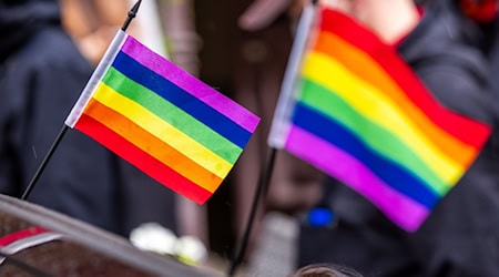 Vielfalt, Gleichberechtigung, Toleranz - das symbolisiert die Regenbogenfahne beim Christopher Street Day. (Archivbild) / Foto: Jens Büttner/dpa