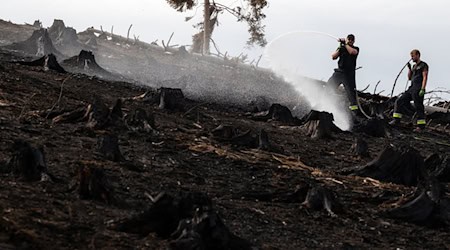 Nach und nach wird die Anzahl der Einsatzkräfte beim Waldbrand auf der Saalfelder Höhe reduziert. (Archivbild) / Foto: Michael Reichel/dpa