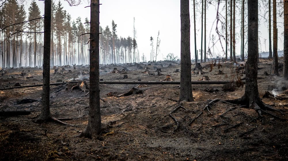 Stärker werdende und sich drehende Winde erschweren die Löscharbeiten. / Foto: Jacob Schröter/dpa
