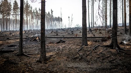 Stärker werdende und sich drehende Winde erschweren die Löscharbeiten. / Foto: Jacob Schröter/dpa