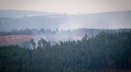 Mindestens 250 Hektar Wald sind von dem Brand betroffen.  / Foto: Jacob Schröter/dpa