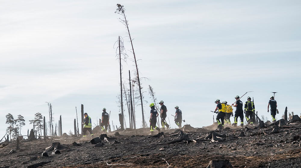 Viele Menschen helfen beim Waldbrand auf der Saalfelder Höhe zusammen.  / Foto: Daniel Vogl/dpa