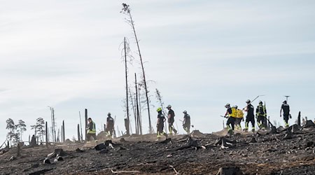 Viele Menschen helfen beim Waldbrand auf der Saalfelder Höhe zusammen.  / Foto: Daniel Vogl/dpa