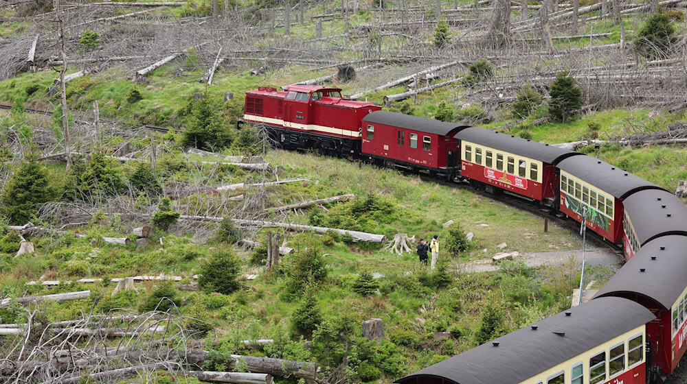 Auf mehreren Strecken der Harzer Schmalspurbahnen gibt es Einschränkungen.  / Foto: Matthias Bein/dpa