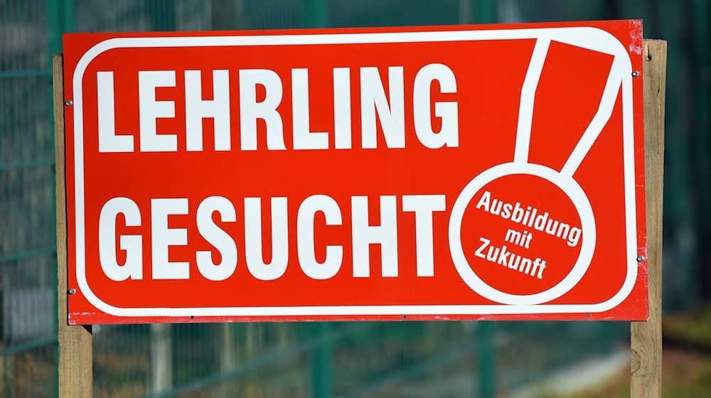 Derzeit werben noch viele Unternehmen und Einrichtungen für ihre Ausbildungsangebote. (Symbolbild) / Foto: Patrick Pleul/dpa-Zentralbild/dpa