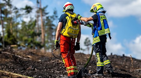 Mit Löschrucksäcken gehen die Feuerwehrleute etwa gegen Glutnester vor.  / Foto: Jacob Schröter/dpa
