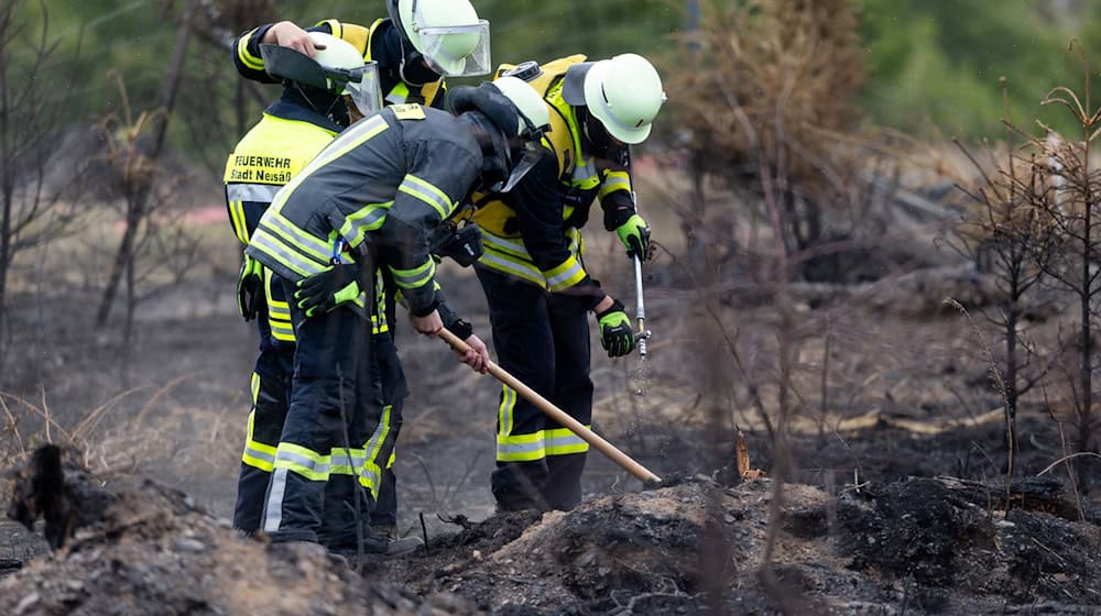 Versteckte Glutnester werden die Feuerwehrleute noch einige Tage nach dem Waldbrand auf der Saalfelder Höhe beschäftigen. / Foto: Michael Reichel/dpa