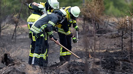 Versteckte Glutnester werden die Feuerwehrleute noch einige Tage nach dem Waldbrand auf der Saalfelder Höhe beschäftigen. / Foto: Michael Reichel/dpa
