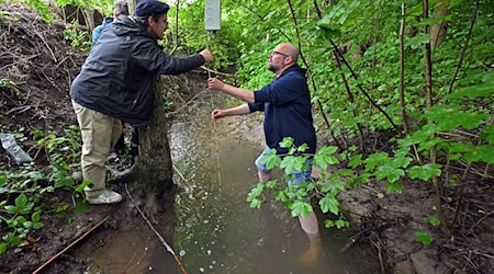 KI soll bei der Überwachung der Wasserqualität kleinerer Flüsse und Bäche helfen.  / Foto: Martin Schutt/dpa