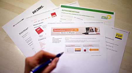 Neben der Linken verzeichnen auch die Grünen und die AfD einen deutlichen Mitgliederzuwachs im Vergleich zum vorigen Jahr. (Archivbild) / Foto: Daniel Bockwoldt/dpa