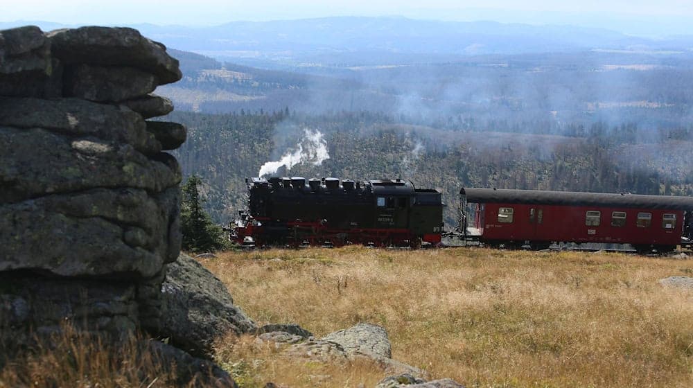 Bei den Fahrgastzahlen ging es für die Harzer Schmalspurbahnen bergauf - allerdings auch bei den Kosten. (Archivbild) / Foto: Matthias Bein/dpa-Zentralbild/dpa