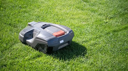Verstöße gegen das Verbot können mit bis zu 50.000 Euro Strafe geahndet werden. (Symbolfoto) / Foto: Sebastian Gollnow/dpa