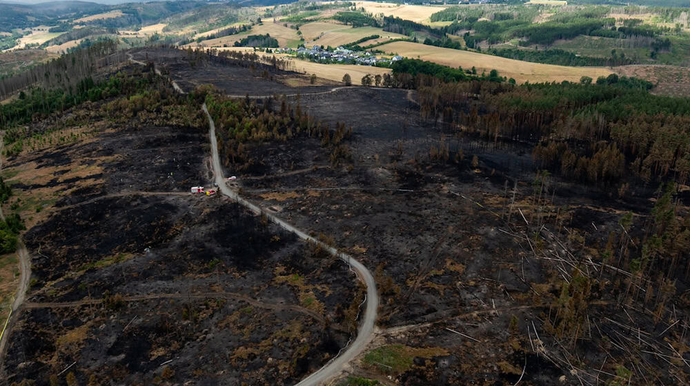 Laut der Landesforstanstalt durchziehen derzeit rund 11.100 Kilometer Weg die Thüringer Wälder. / Foto: Michael Reichel/dpa
