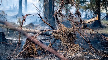 Wegen des Großbrands auf der Saalfelder Höhe wurde auch Katastrophenalarm ausgelöst.   / Foto: Jacob Schröter/dpa