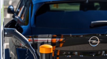 In Rüsselsheim wird eine neue Zentrale für den Autobauer Opel errichtet. (Archivbild) / Foto: Andreas Arnold/dpa