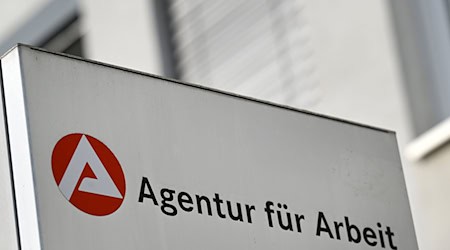 Im Juni wurden etwas weniger Arbeitslose gezählt als im Vormonat. (Archivbild) / Foto: Martin Schutt/dpa