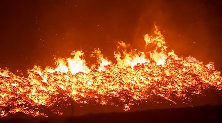 Mindestens 250 Hektar Wald sind am Mittwoch auf der Saalfelder Höhe in Brand geraten.  / Foto: Daniel Vogl/dpa