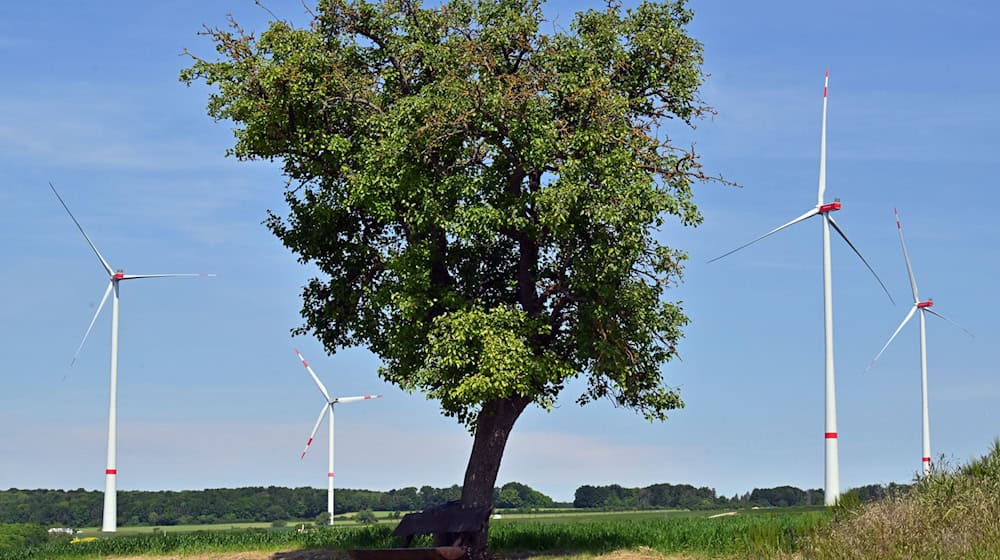 In keinem deutschen Flächenland wurden im ersten Halbjahr dieses Jahres weniger neue Windräder gebaut als in Thüringen. Laut Bundesverband Windenergie sind in Thüringen sechs neue Anlagen hinzugekommen. Lediglich im Saarland und den drei Stadtstaaten wurden gar keine Windräder gebaut. (Archivfoto) / Foto: Martin Schutt/dpa