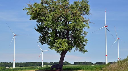 In keinem deutschen Flächenland wurden im ersten Halbjahr dieses Jahres weniger neue Windräder gebaut als in Thüringen. Laut Bundesverband Windenergie sind in Thüringen sechs neue Anlagen hinzugekommen. Lediglich im Saarland und den drei Stadtstaaten wurden gar keine Windräder gebaut. (Archivfoto) / Foto: Martin Schutt/dpa