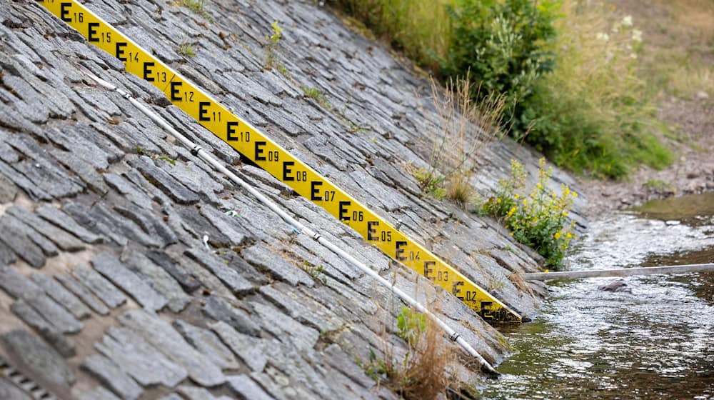 Wegen der anhaltenden Trockenheit darf vielerorts kein Wasser aus Flüssen entnommen werden. (Archivbild) / Foto: Michael Reichel/dpa