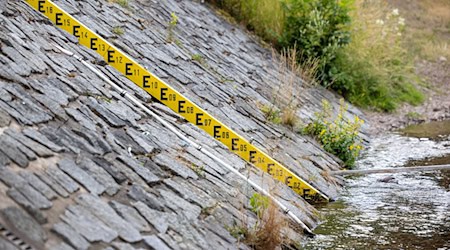 Wegen der anhaltenden Trockenheit darf vielerorts kein Wasser aus Flüssen entnommen werden. (Archivbild) / Foto: Michael Reichel/dpa