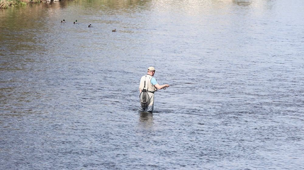 In Thüringen machen Niedrigwasser und hohe Wassertemperaturen den Fischen zu schaffen. Immer mehr Gewässer werden deshalb vorübergehend für Angler gesperrt. (Archivfoto) / Foto: Bodo Schackow/dpa