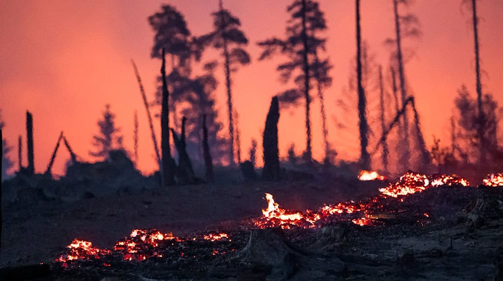 In der Nacht auf Donnerstag brannte das Waldstück in der Saalfelder Höhe weiterhin. / Foto: Daniel Vogl/dpa
