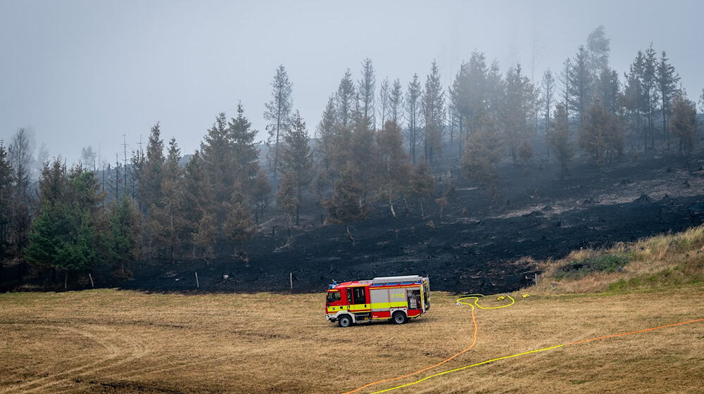 Die Löscharbeiten auf der Saalfelder Höhe gehen heute weiter.  / Foto: Jacob Schröter/dpa
