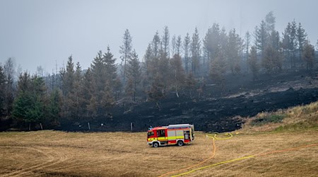 Die Löscharbeiten auf der Saalfelder Höhe gehen heute weiter.  / Foto: Jacob Schröter/dpa