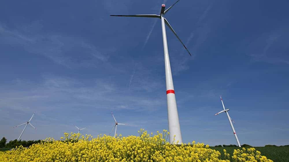 Windkraftunternehmen sehen großes Potenzial in den geplanten neuen Flächen zum Bau von Windrädern in Nord- und Ostthüringen. (Archivbild) / Foto: Martin Schutt/dpa
