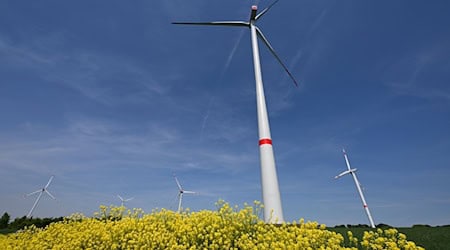 Windkraftunternehmen sehen großes Potenzial in den geplanten neuen Flächen zum Bau von Windrädern in Nord- und Ostthüringen. (Archivbild) / Foto: Martin Schutt/dpa