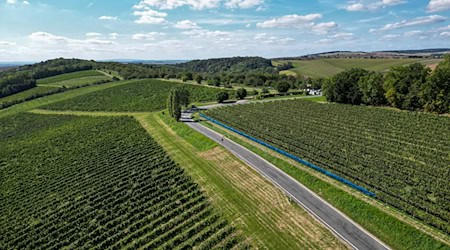 Thüringen wirbt mit seinen Heilbädern um Touristen. (Archivbild) / Foto: Jan Woitas/dpa