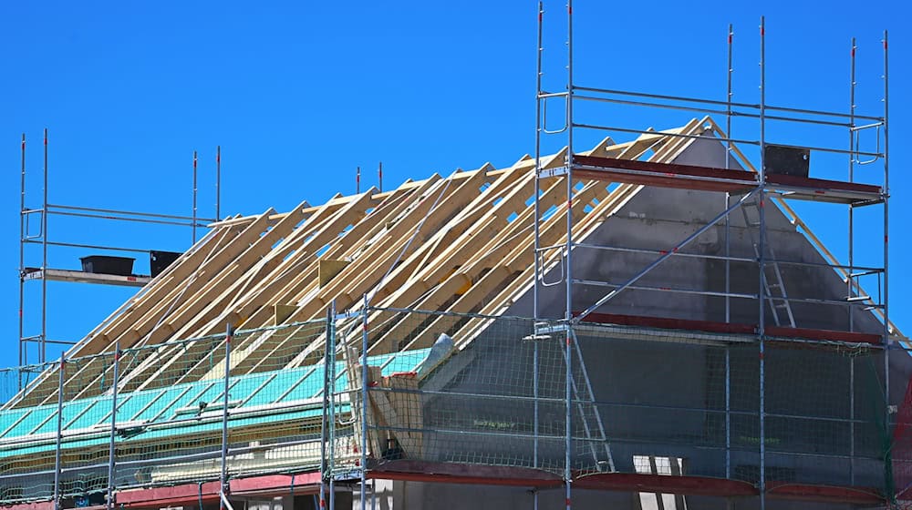 Holz soll in rund einem Drittel neuer Wohngebäude Verwendung finden. (Archivbild) / Foto: Soeren Stache/dpa-Zentralbild/dpa