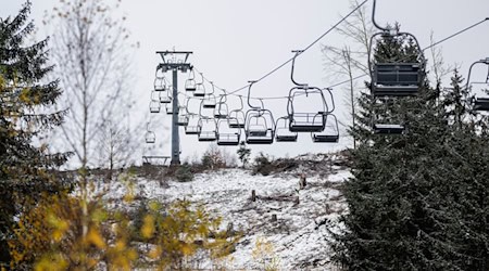 Im Winter liegt im Thüringer Wald inzwischen nicht mehr viel Schnee. (Archivbild) / Foto: Jacob Schröter/dpa
