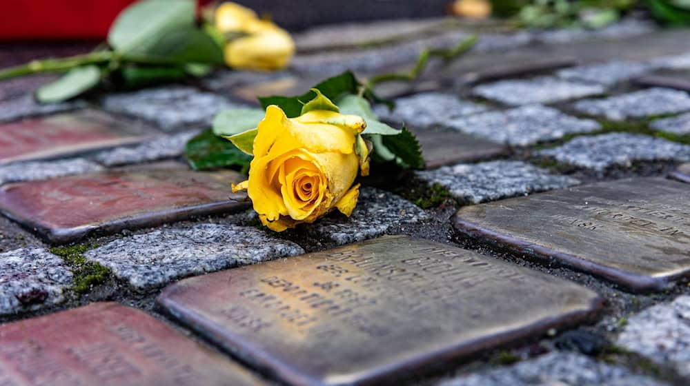 Stolpersteine wie diese sind in Weimar beschädigt worden. (Archivbild) / Foto: Sascha Lotz/dpa