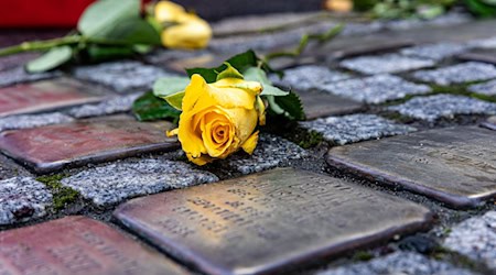 Stolpersteine wie diese sind in Weimar beschädigt worden. (Archivbild) / Foto: Sascha Lotz/dpa