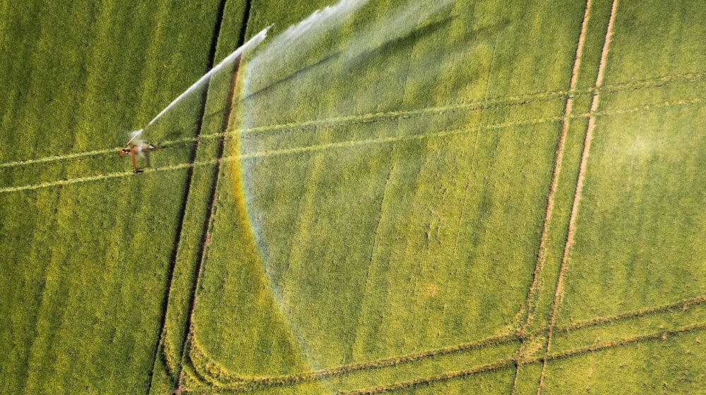 In Thüringen soll künftig kontinuierlich die Feuchtigkeit von Böden erfasst werden. Die Daten sollen unter anderem Landwirten bei der Planung von Aussaat und Ernte helfen. (Symbolfoto) / Foto: Lando Hass/dpa