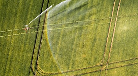 In Thüringen soll künftig kontinuierlich die Feuchtigkeit von Böden erfasst werden. Die Daten sollen unter anderem Landwirten bei der Planung von Aussaat und Ernte helfen. (Symbolfoto) / Foto: Lando Hass/dpa