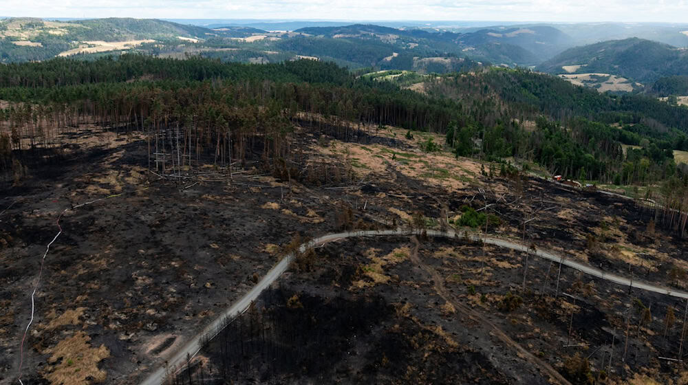 Das Feuer auf der Saalfelder Höhe war der größte bekannte Waldbrand in Thüringen seit Jahrzehnten. (Archivbild) / Foto: Michael Reichel/dpa