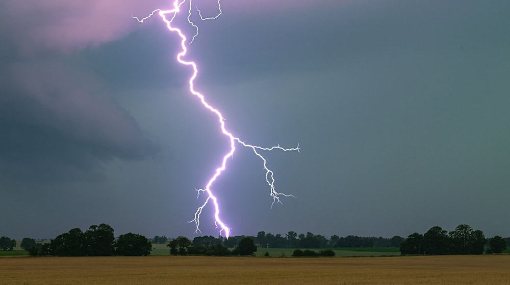 Die Warnung gilt für mehrere Landkreise. (Symbolbild) / Foto: Patrick Pleul/dpa