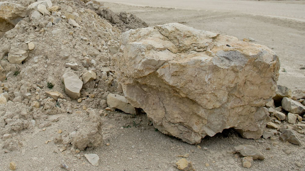 Naturschützer wenden sich gegen eine Erweiterung des Kalksteinabbaus im Thüringer Eichsfeld. / Foto: picture alliance / dpa